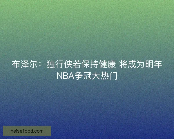 布泽尔：独行侠若保持健康 将成为明年NBA争冠大热门