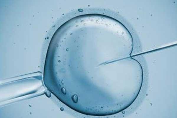 试管移植胚胎数越多越好吗？