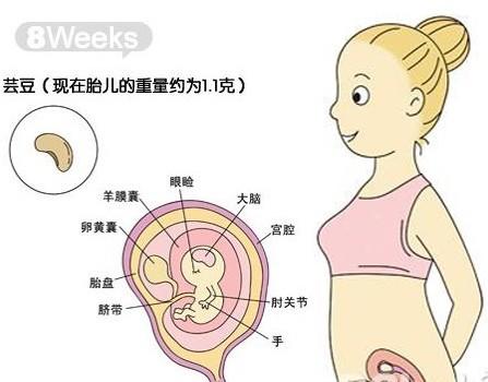 广州试管婴儿怀二胎的试管婴儿经验