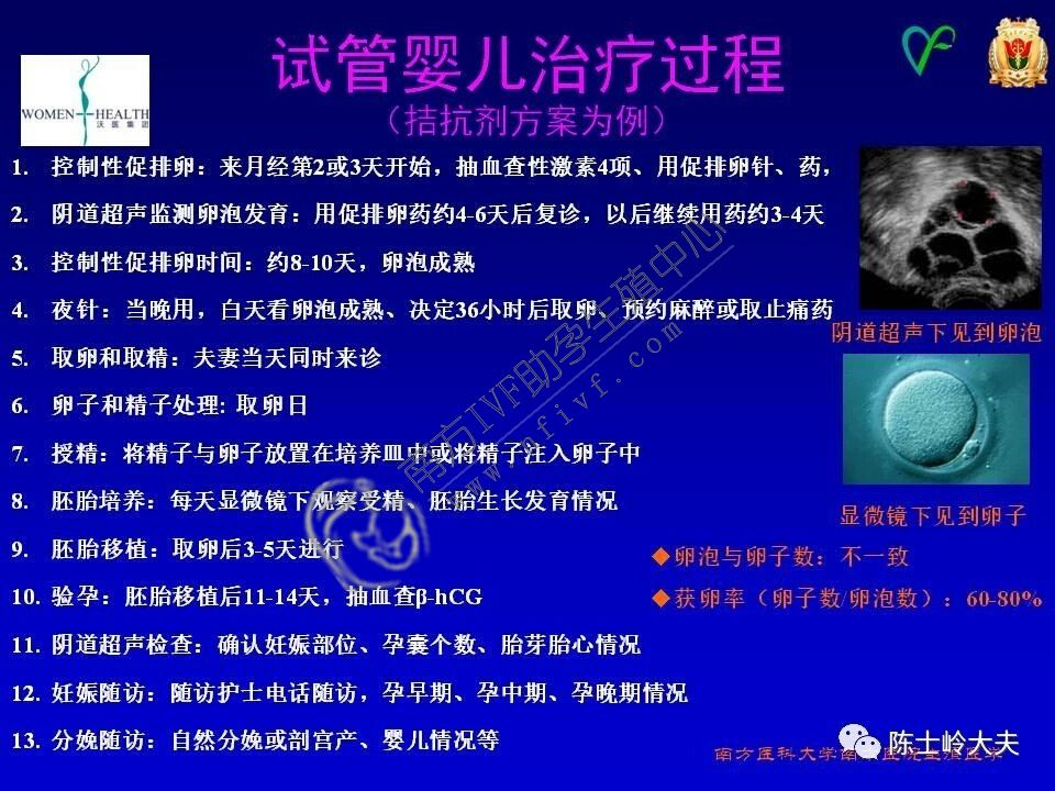 广州正规供卵公司-试管婴儿治疗的流程图以及卵泡、卵子和胚胎的示意图。