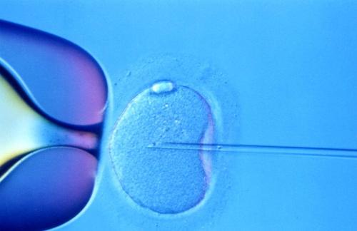 广州双胞胎助孕产子-黑龙江：哪些医院做试管婴儿好？