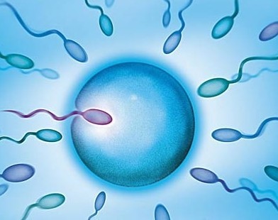 广州龙凤胎助孕产子生殖中心:如果你的精子没有液化，该怎么办？
