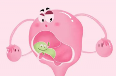 <b>广东试管婴儿医院对子宫畸形患者的成功率分享! 影响成功率的因素</b>