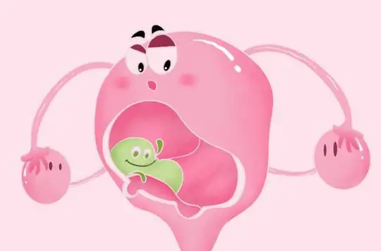 广东试管婴儿医院对子宫畸形患者的成功率分享! 影响成功率的因素