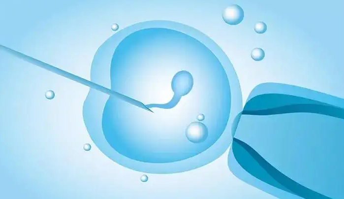常州供卵助孕包男孩套餐-湖北通过试管婴儿生男孩的详细费用!